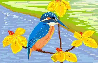秋のカワセミ