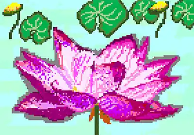 蓮の花