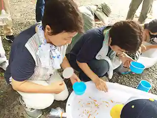 バーベキュー大会１５