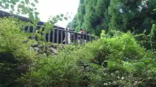 バーベキュー大会２１